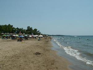 pict0190.jpg