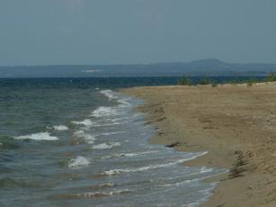 pict0199.jpg